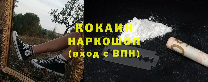 Cocaine FishScale  Каменногорск 