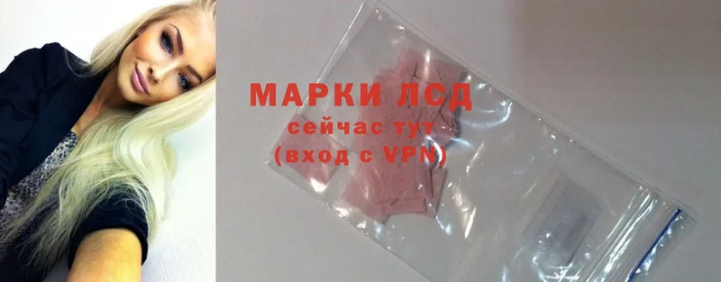 Лсд 25 экстази ecstasy  Каменногорск 